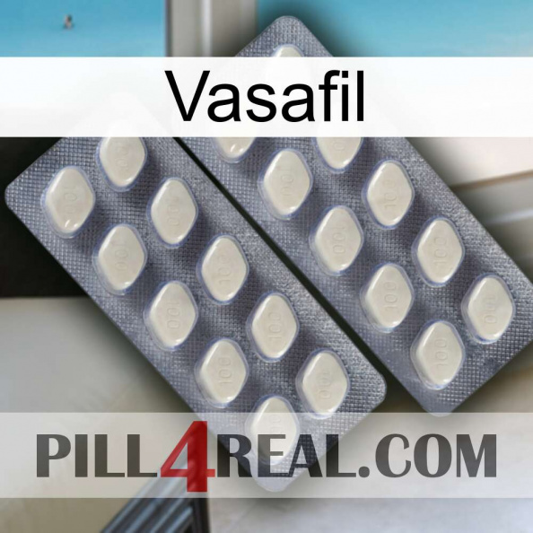 Vasafil 07.jpg